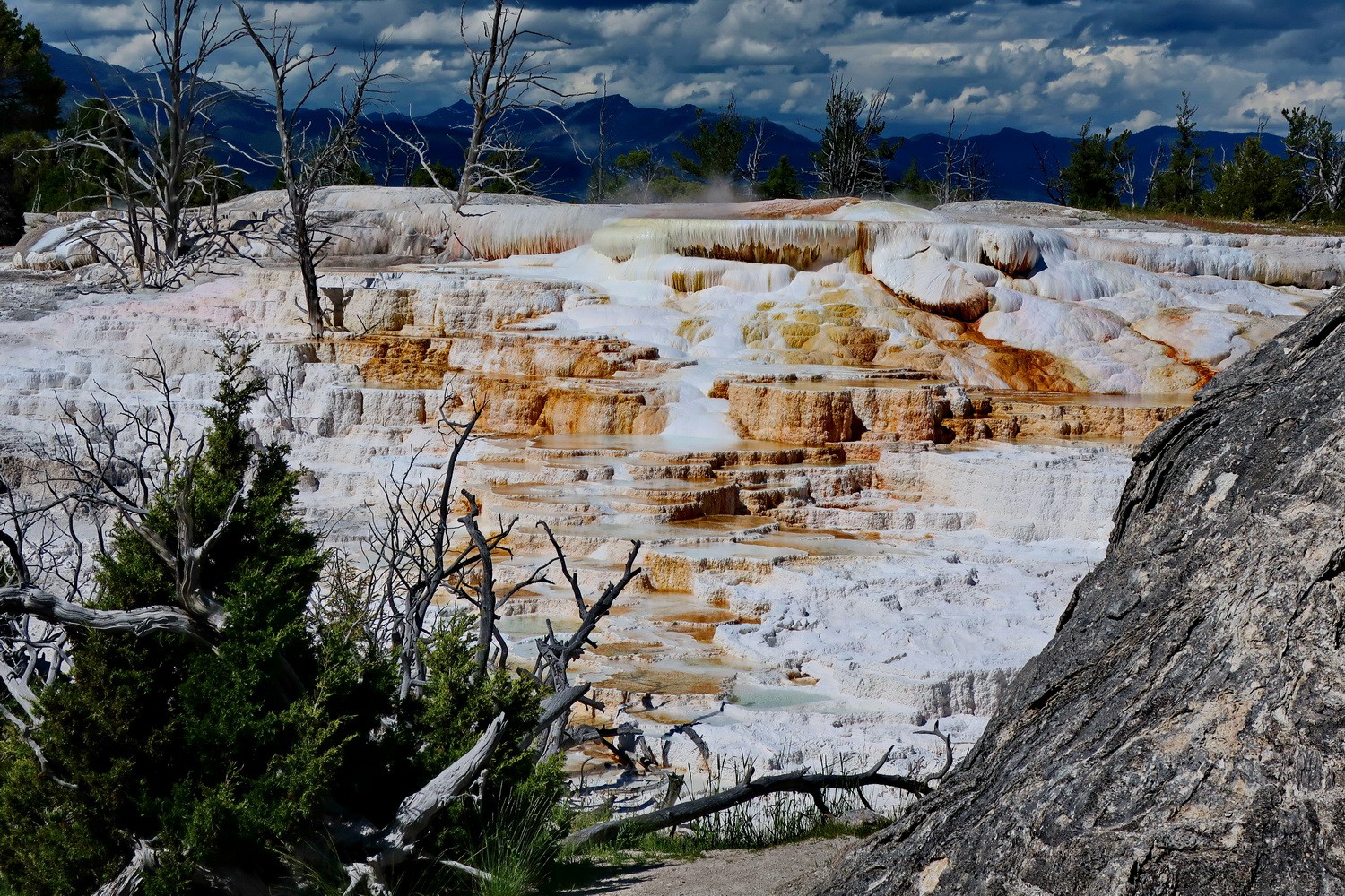 Palette Spring in the Mammoth Hot Springs