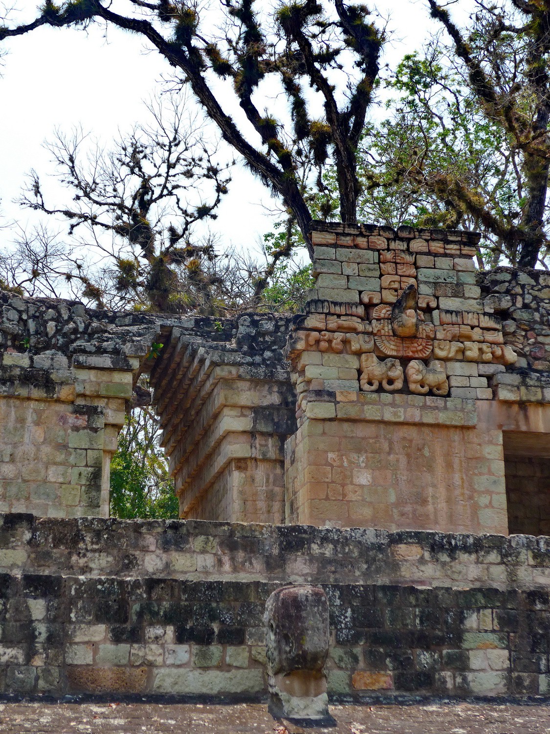 Side wall of the Pelote place with a head of a Macaw