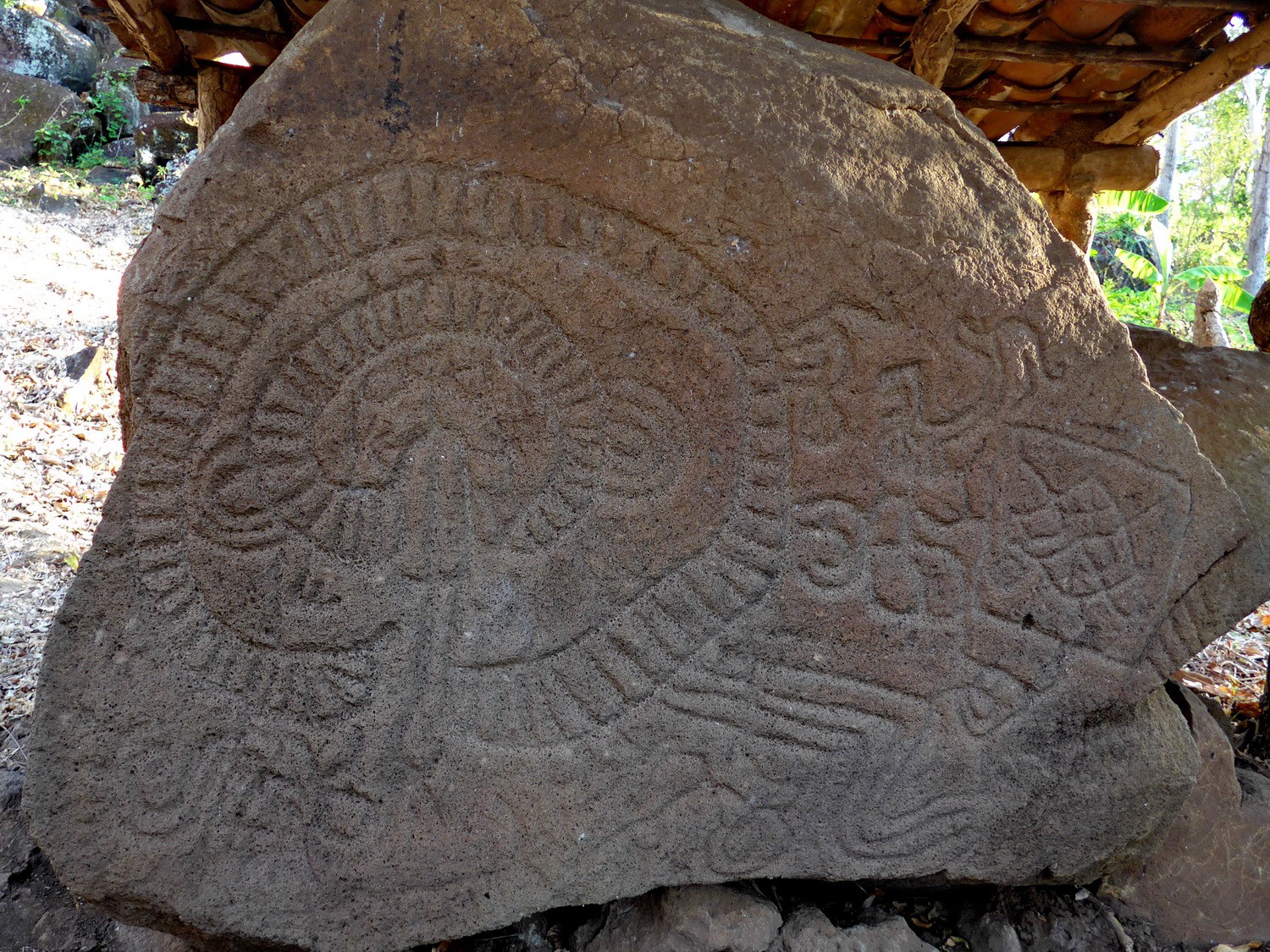 Petroglyph on the farm Hacienda El Porvenir