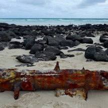 Rusty cannon on the beach Playa Tortuga