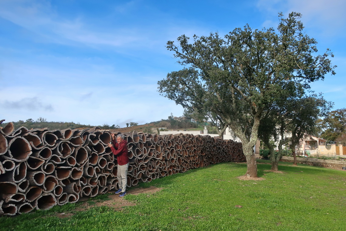 Bark of cork trees which in an important business in the mountains