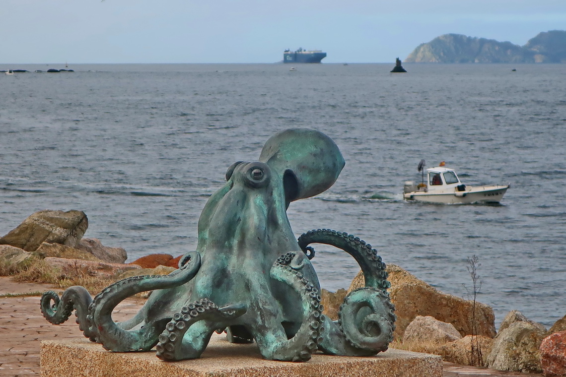 Octopus on the boardwalk Gran Carril Litoral  of Vigo