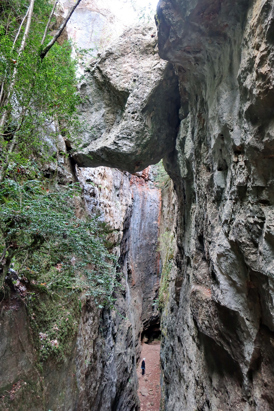 In the gorge Grau dels Avencs de la Febro