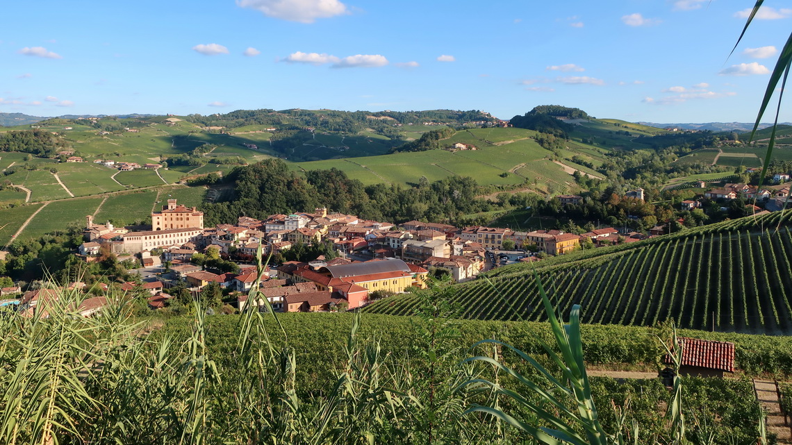 Winery close to famous Barolo