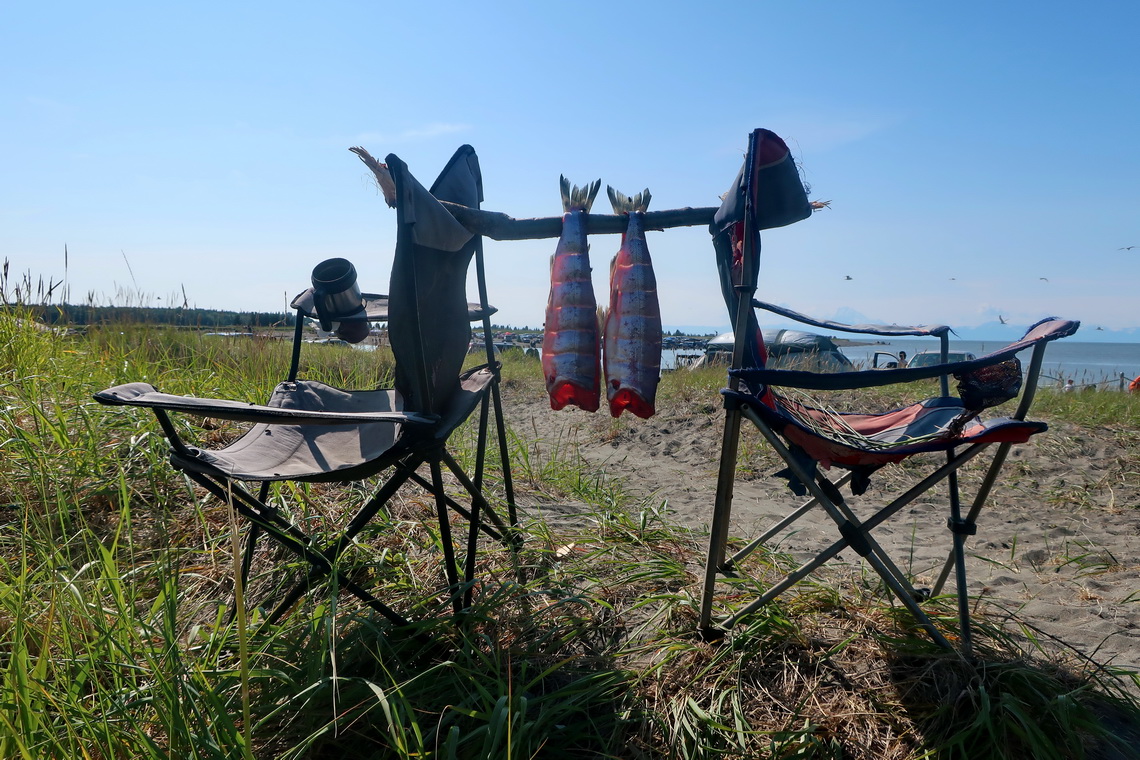 Salmon on Kasilof River