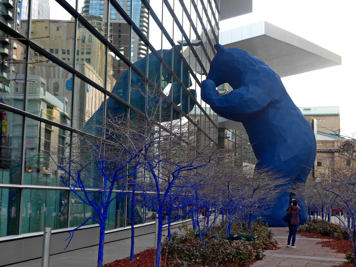 Bear looking into the Colorado Convention Center