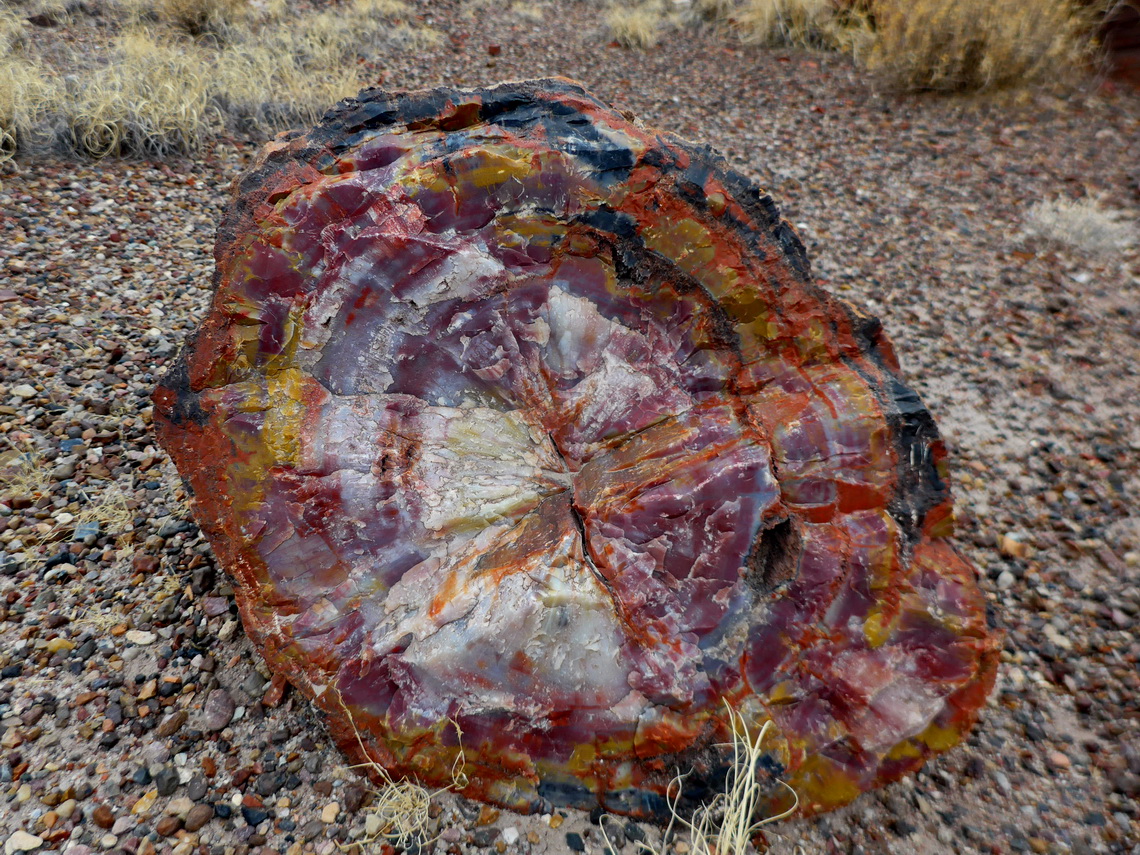 Colorful log close to Agata House