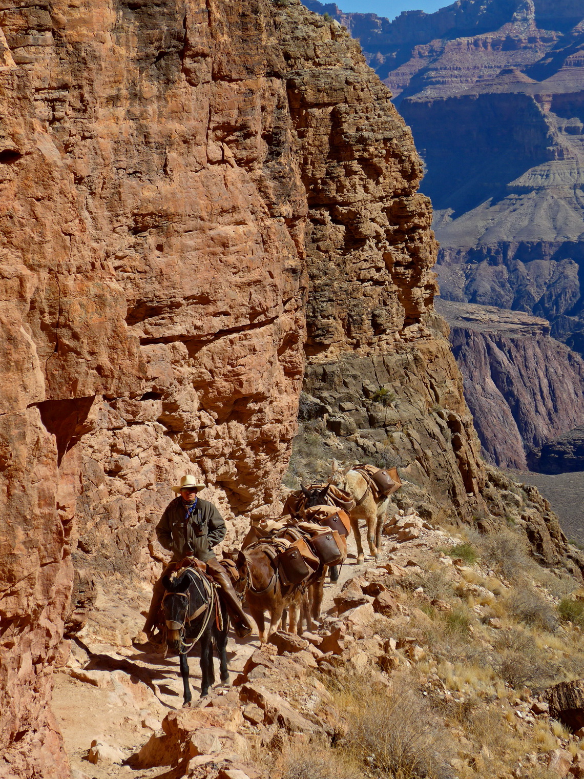 Traffic on South Kaibab Trail