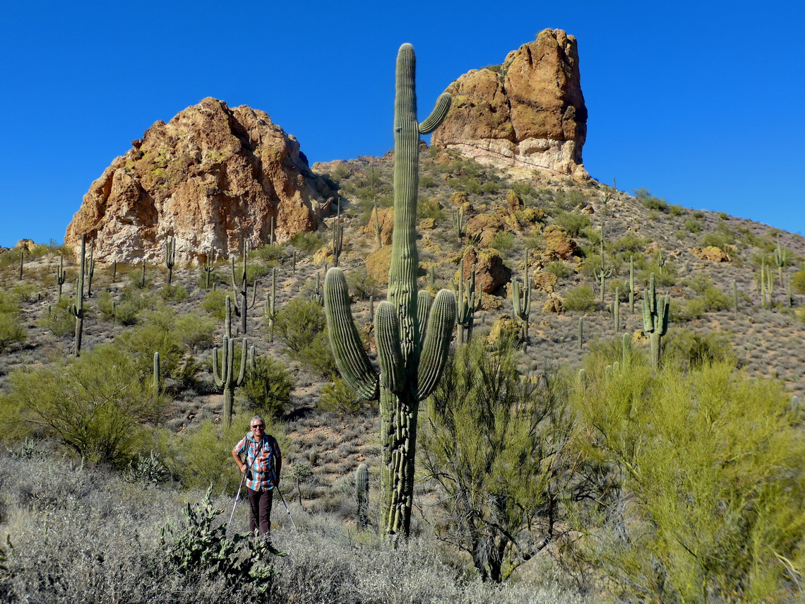 Alfred with a huge Saguaro cactus, the national symbol of Arizona