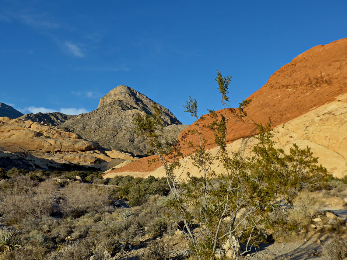 Turtlehead Mountain seen from the trailhead