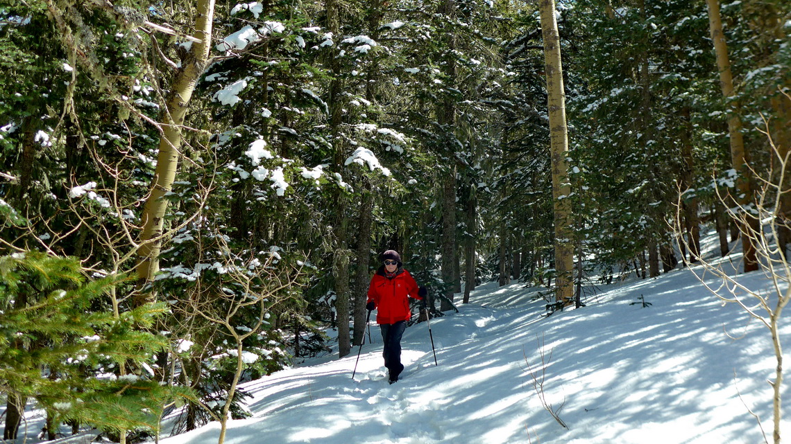 In the snow of the Sandia Mountains