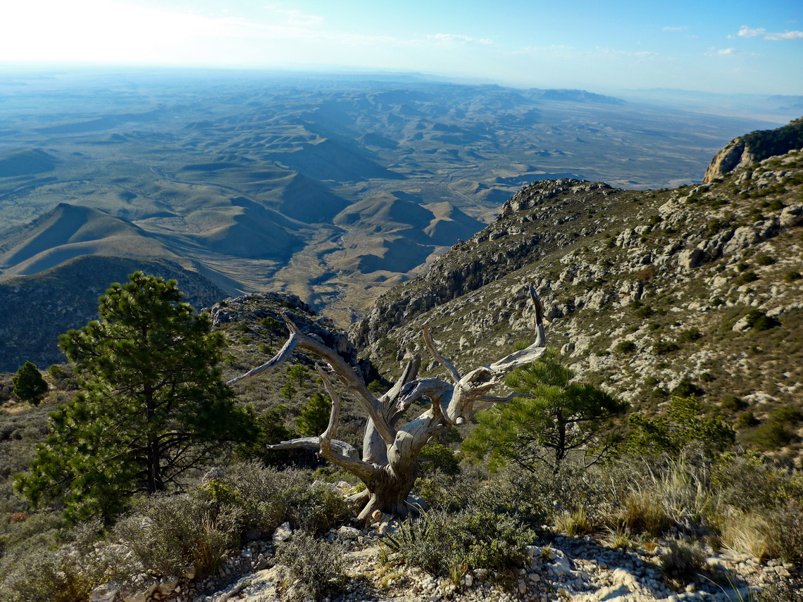 Desert from Guadalupe Peak