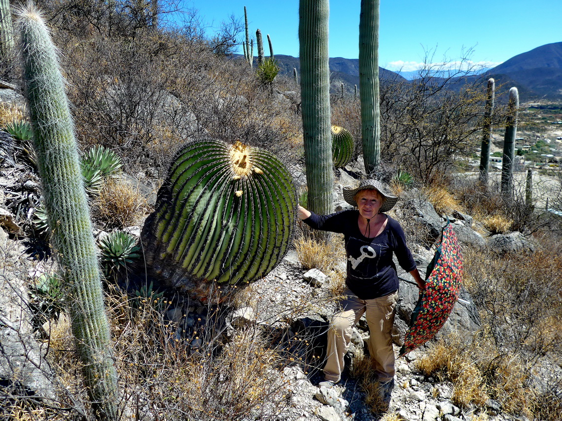 Marion with a cactus like a huge ball