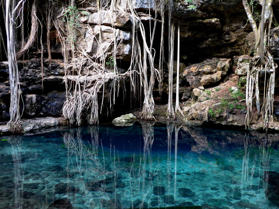 Crystal clear water of Cenote X-Batun