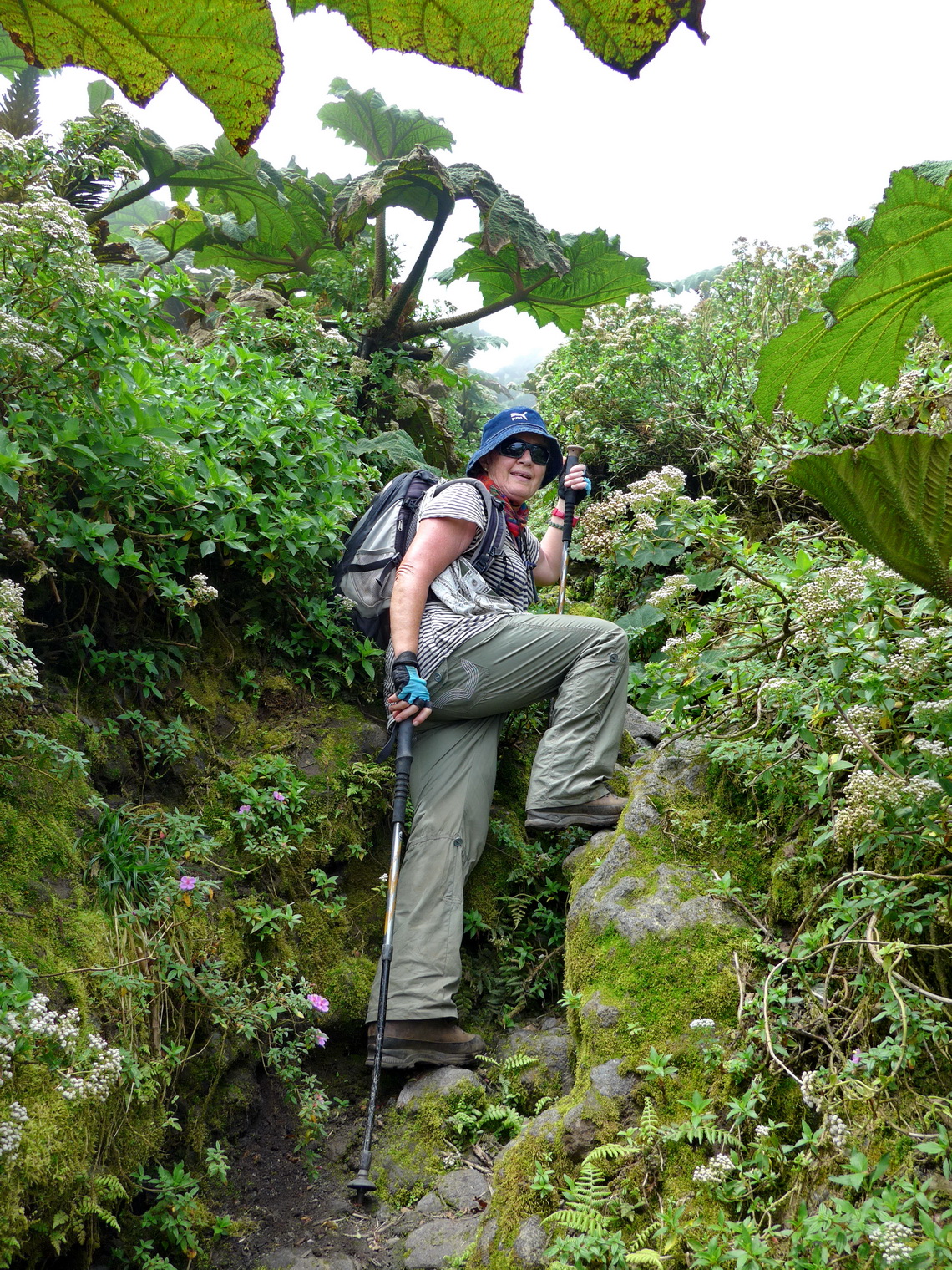 On the way to Volcan Conceptión