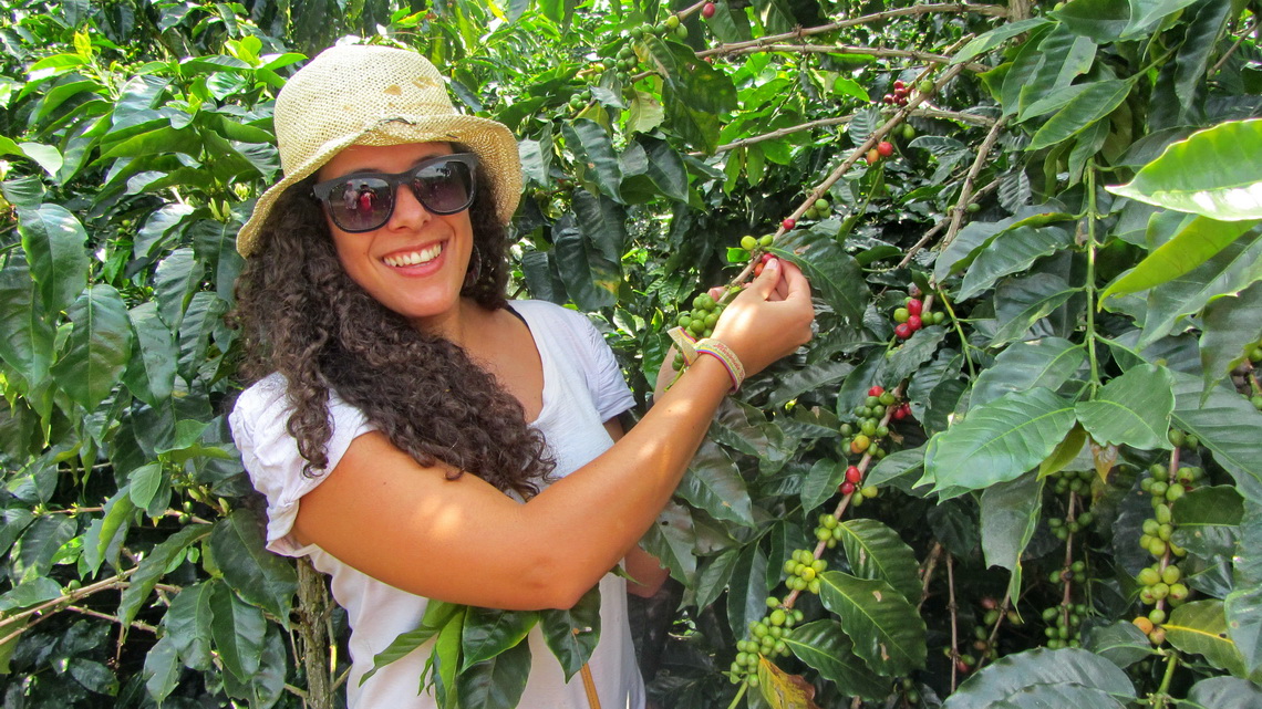 Lias with coffee plants