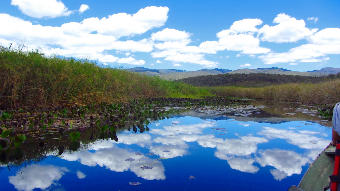 In the swamps of Marimbus with the mountains of the Chapada Diamantina