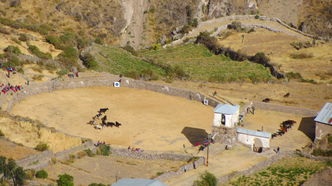 Preparation for bullfights