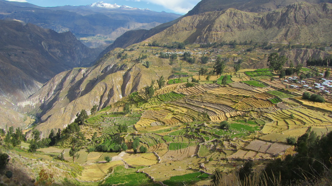 Fields of Pampamarca with Nevado Solimana in the background