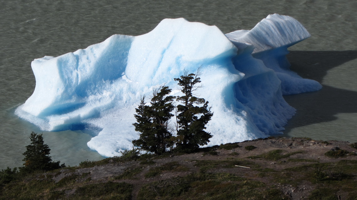 Iceberg in Lago Grey
