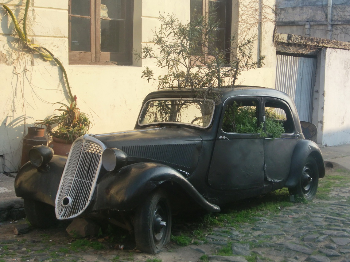 Car used as flowerpot
