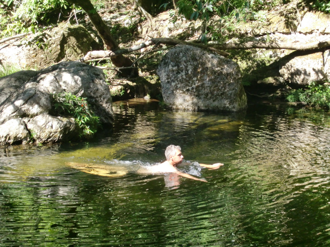 Alfred swimming in the jungle