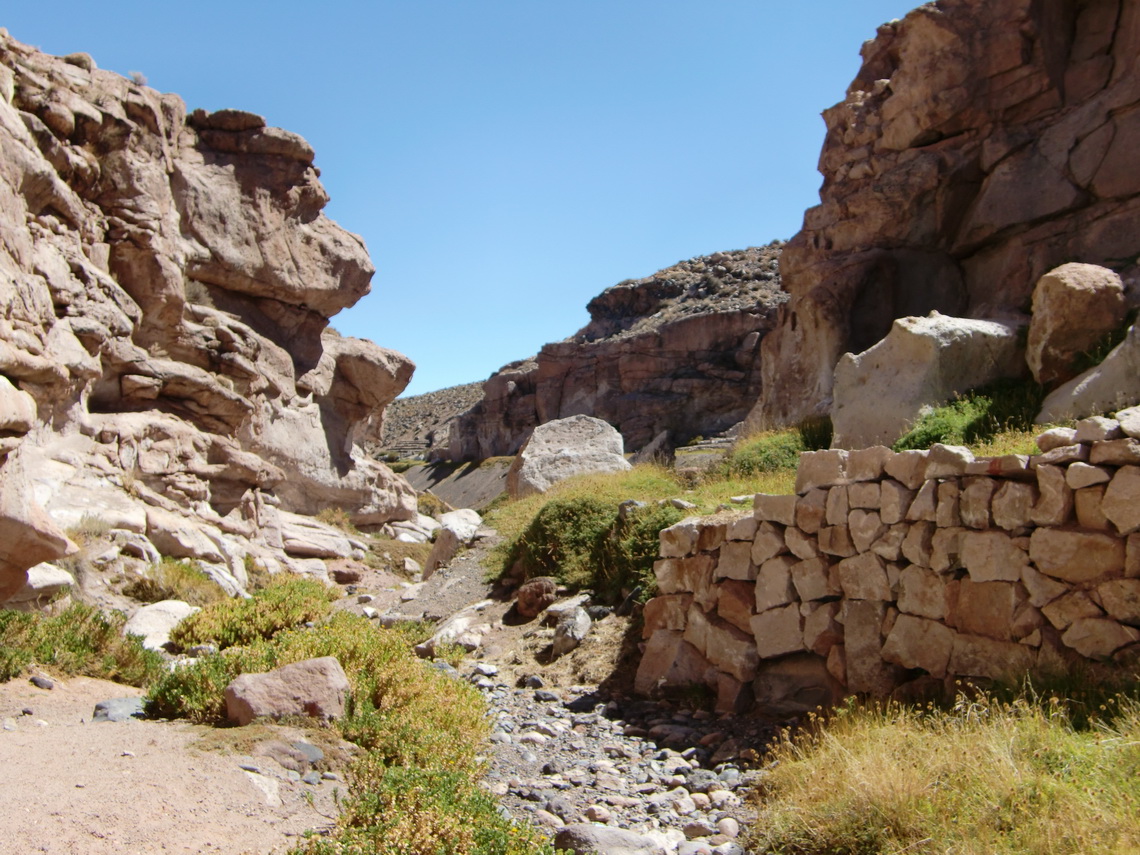 Gorge in the Atacama desert with fluent water