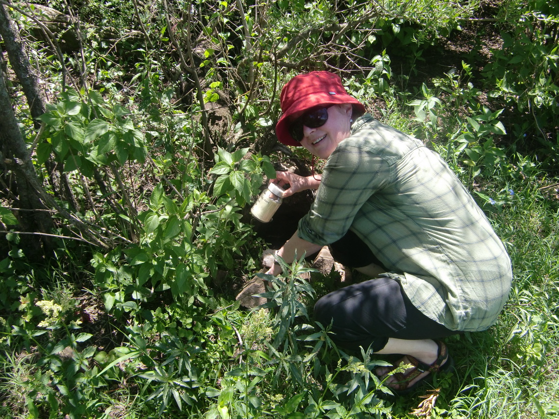 Marion with the Geo Cache on Cerro La Cruz 